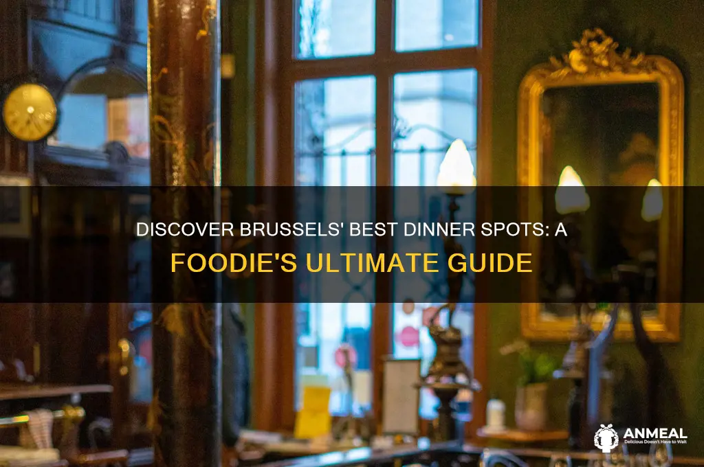 where dinner brussels
