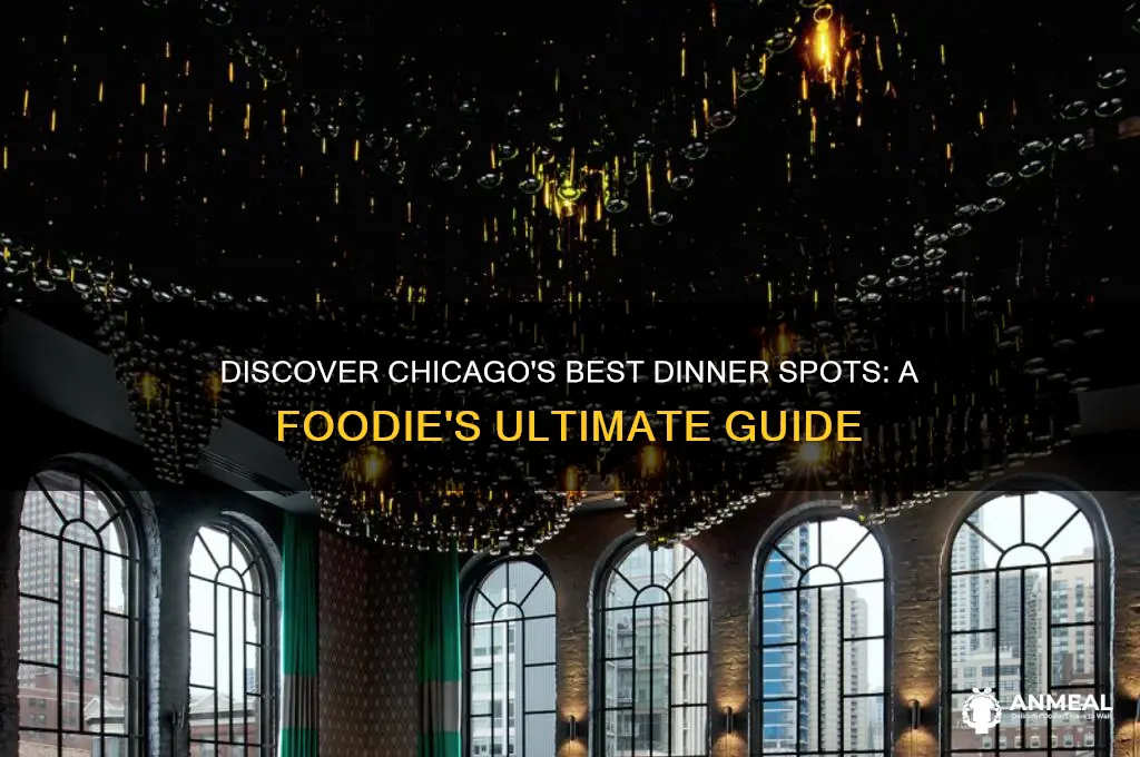 where dinner chicago