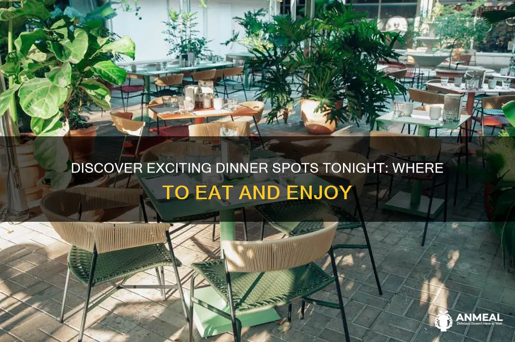 where dinner tonight