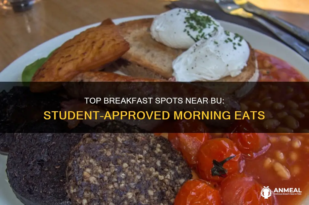 where do bu students get breakfast