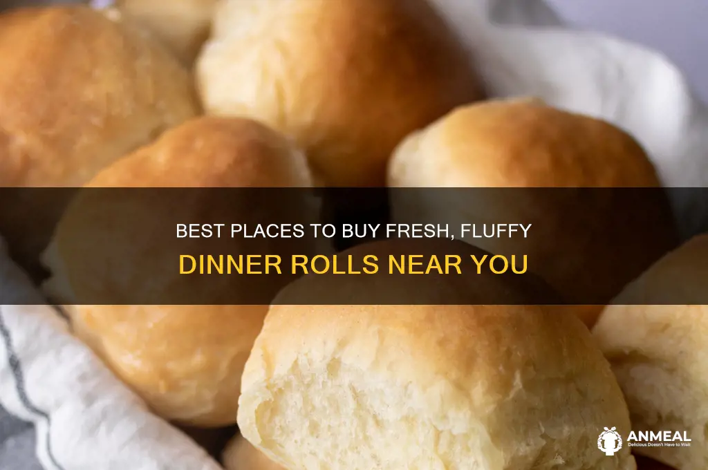 where do i buy dinner rolls