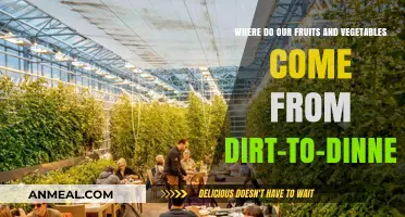 From Soil to Plate: Tracing the Journey of Our Fruits and Vegetables