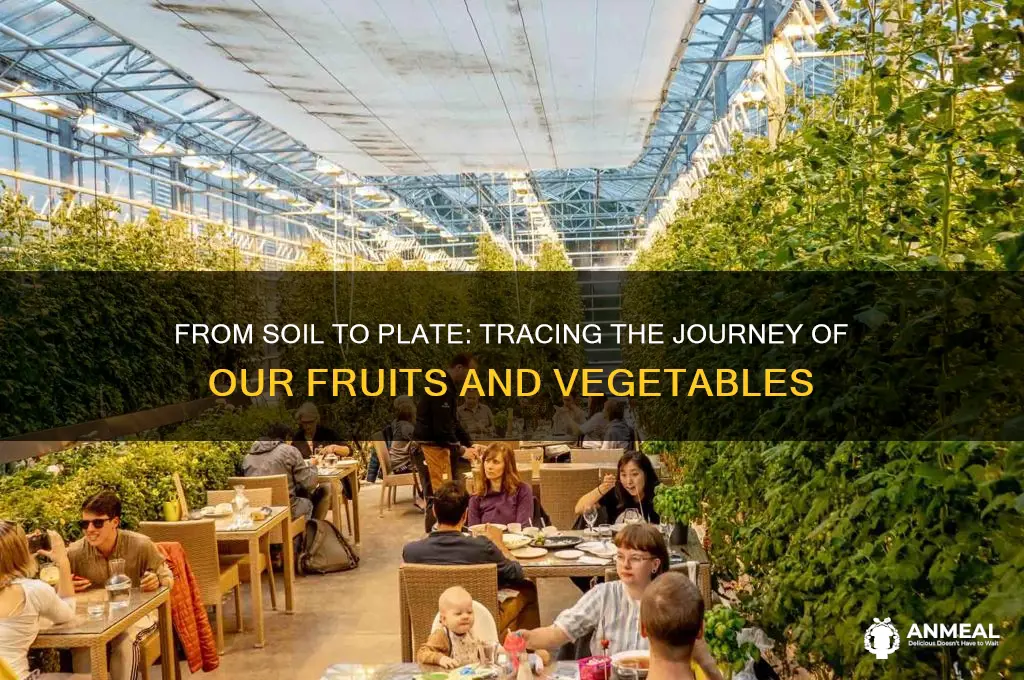 where do our fruits and vegetables come from dirt-to-dinner