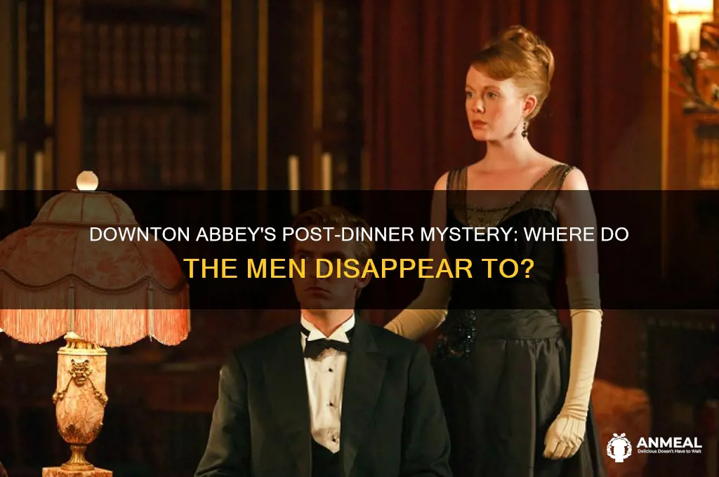 where do the men go after dinner on downton abbey