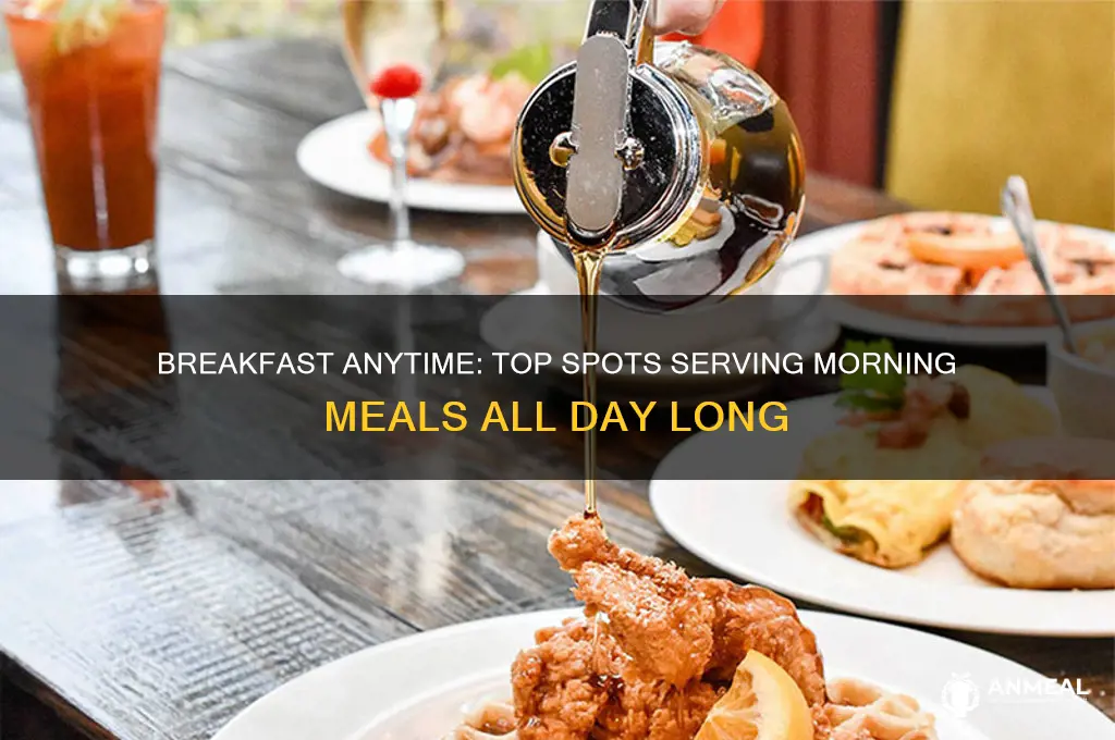 where do they have breakfast all day