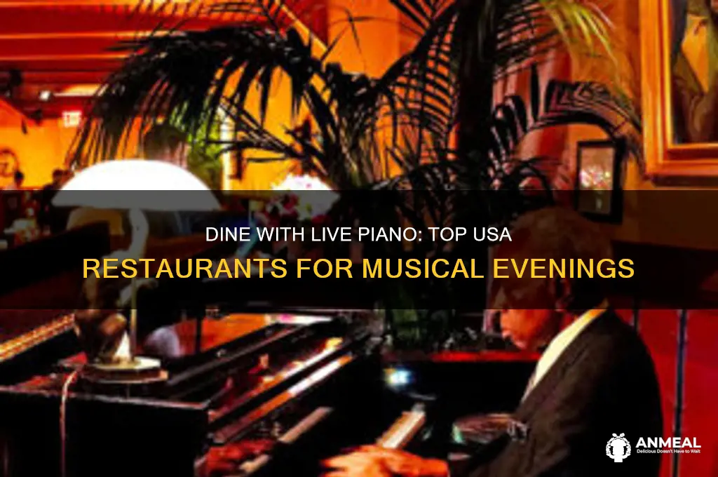 where do they play piano in usa for dinner