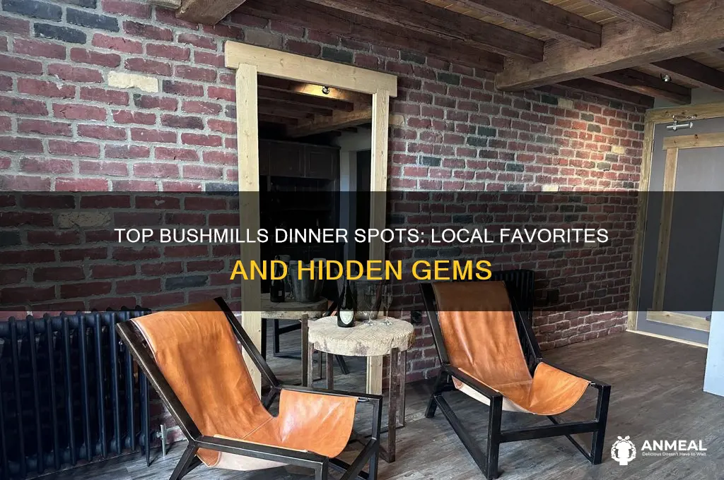 where do you recommend dinner in bushmills