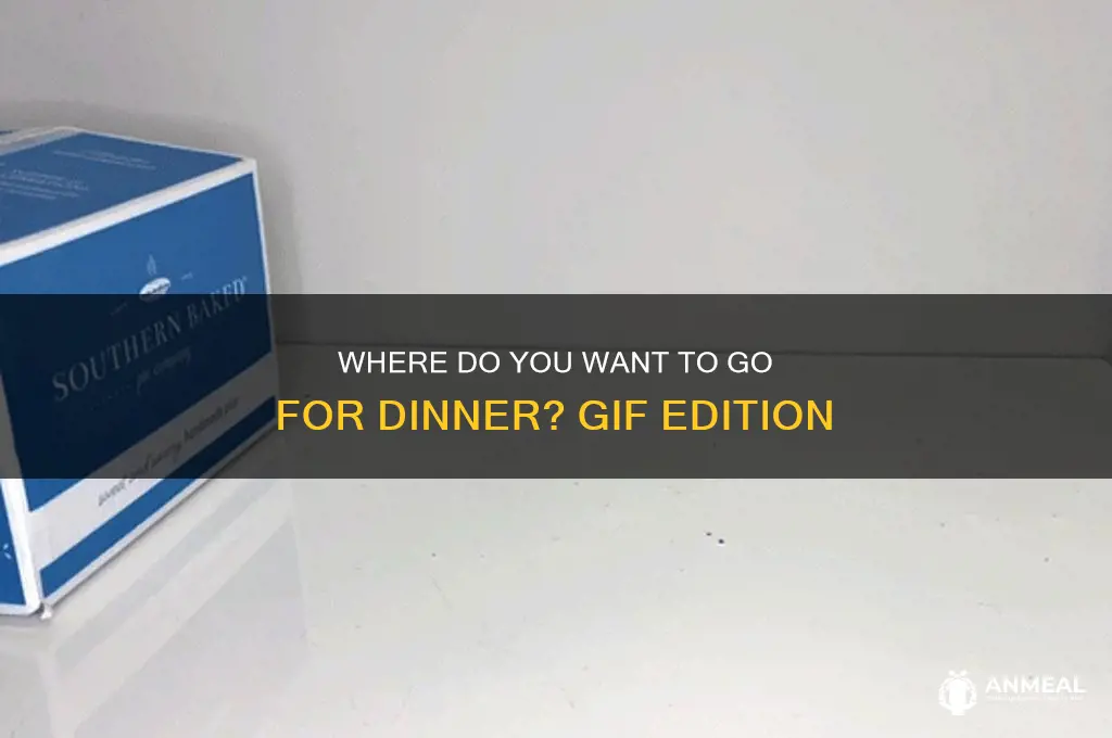 where do you want for dinner gif