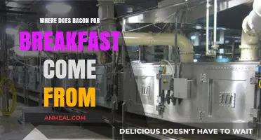 From Pig to Plate: The Journey of Breakfast Bacon Explained