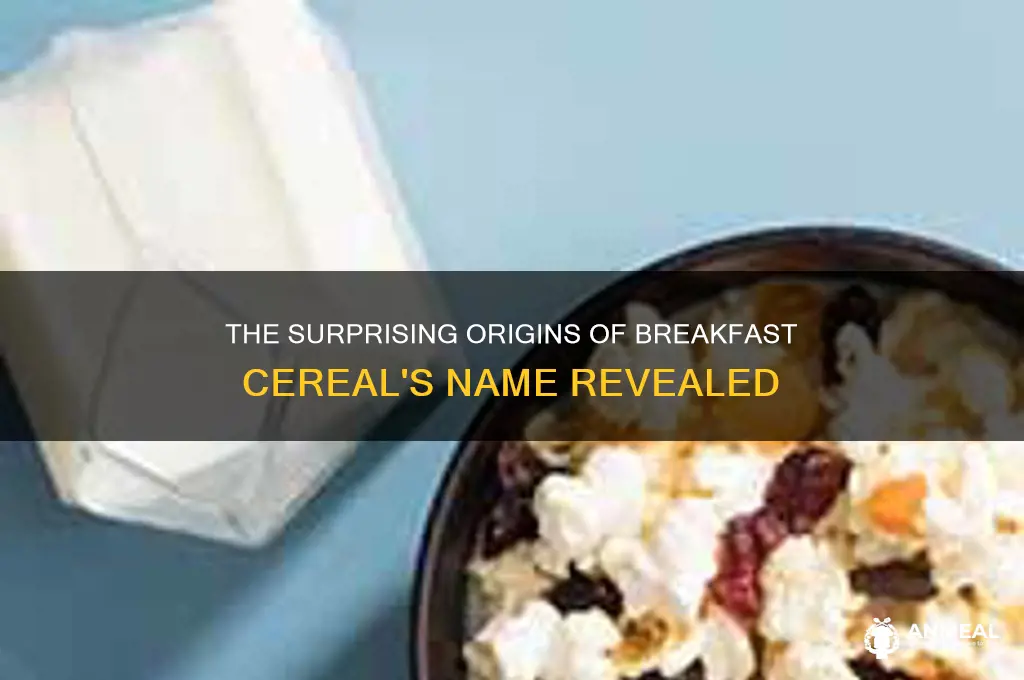 where does breakfast cereal get its name