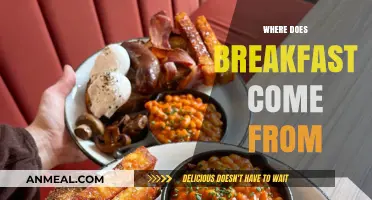 The Surprising Origins and Evolution of Our Morning Meal