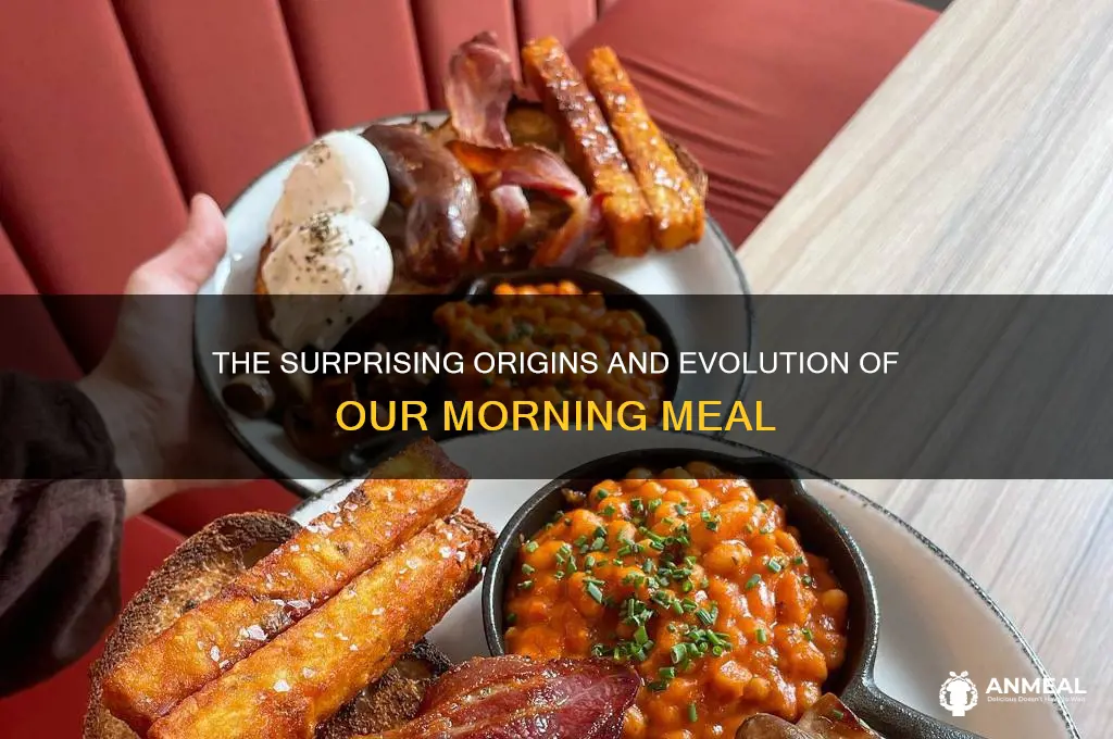 where does breakfast come from