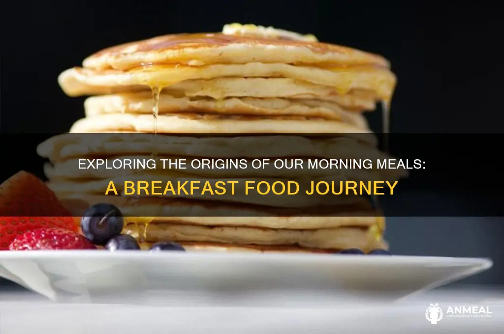 where does breakfast food come from