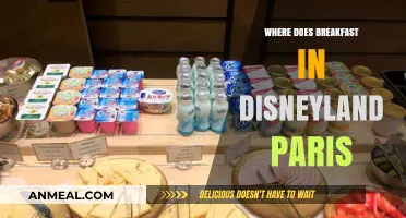 Discovering Disneyland Paris: Where to Enjoy Magical Breakfast Experiences