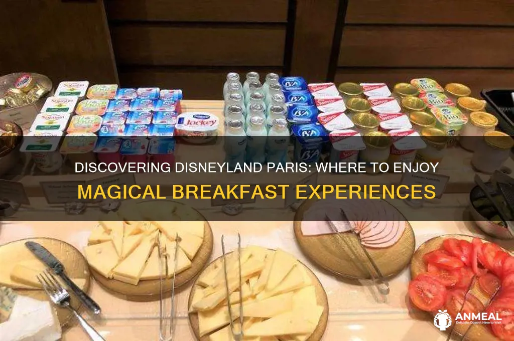 where does breakfast in disneyland paris