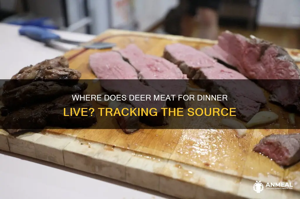 where does deer meat for dinner live