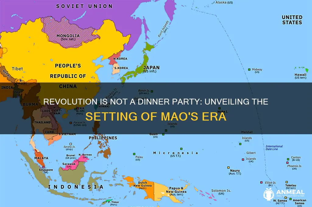 where does revolution is not a dinner party take place