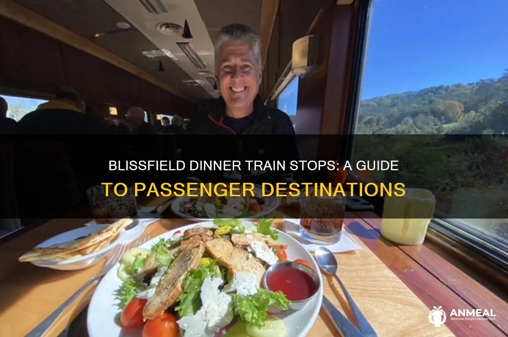 where does the blissfield dinner train stop for passengers