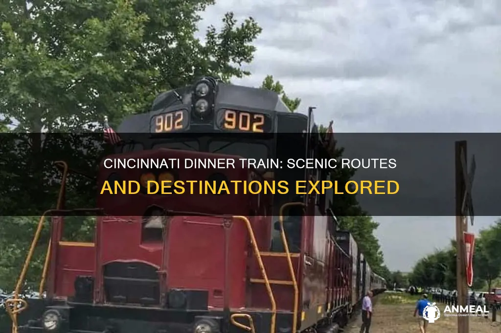 where does the cincinnati dinner train go