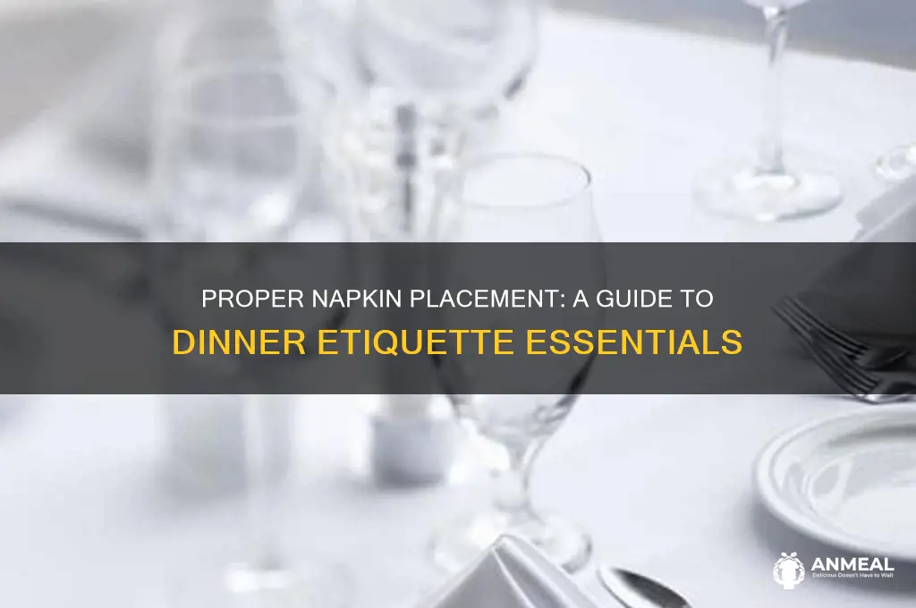 where does the dinner napkin go