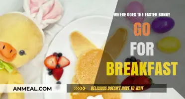 Hopping for Breakfast: The Easter Bunny's Secret Morning Spot