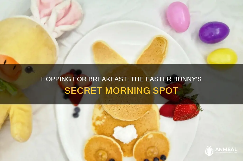 where does the easter bunny go for breakfast