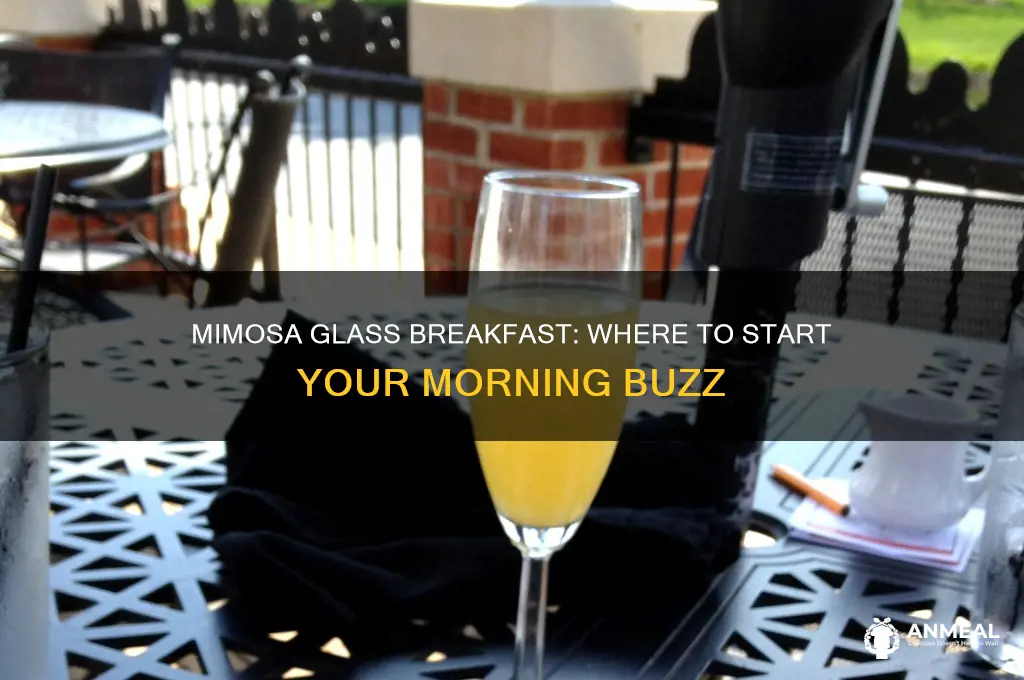 where does the mimosa glass go for breakfast