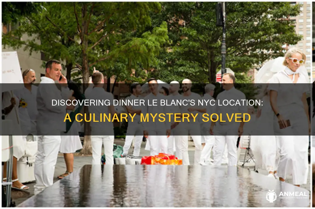 where has been dinner le blanc in nyc