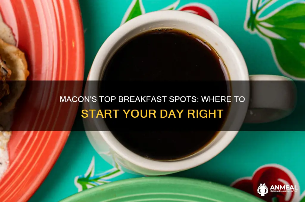 where in macon georgia i cut have the best breakfast