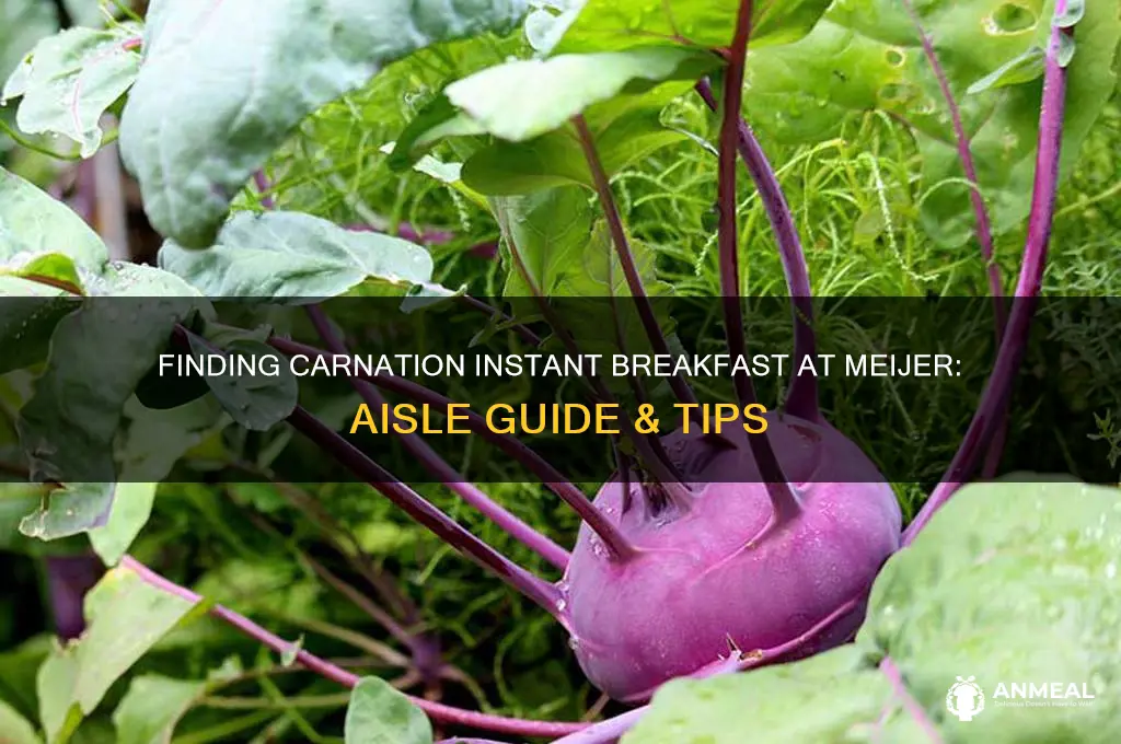 where in meijer is carnation instant breakfast