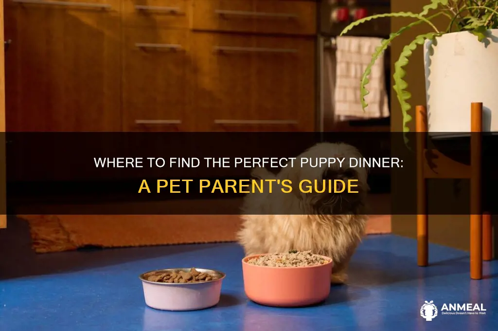 where is a puppy dinner