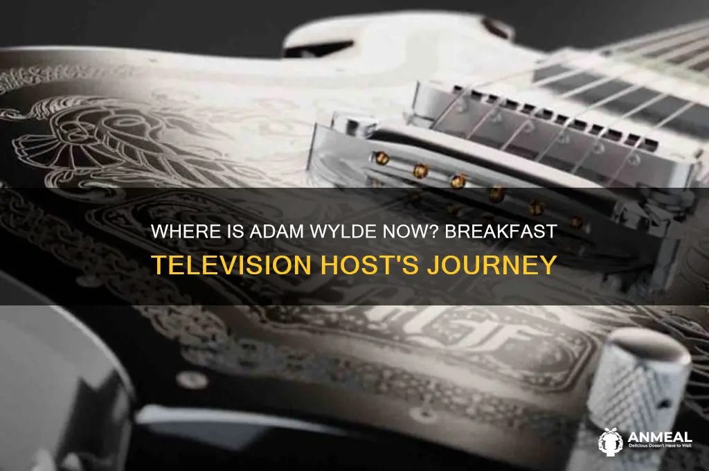 where is adam wylde from breakfast television