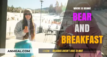 Where is Beanie Bear and Breakfast: A Cozy Adventure Unveiled
