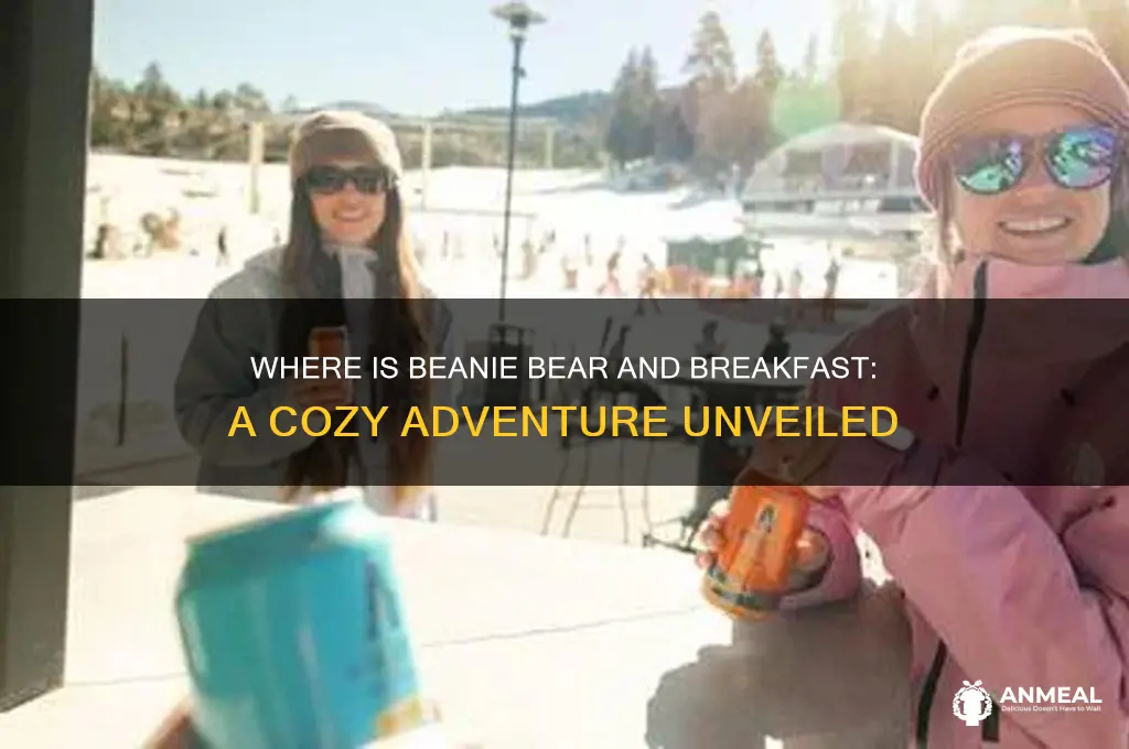 where is beanie bear and breakfast