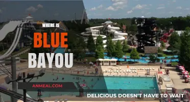 Exploring the Enchanting Blue Bayou: A Journey Through Louisiana's Hidden Gem