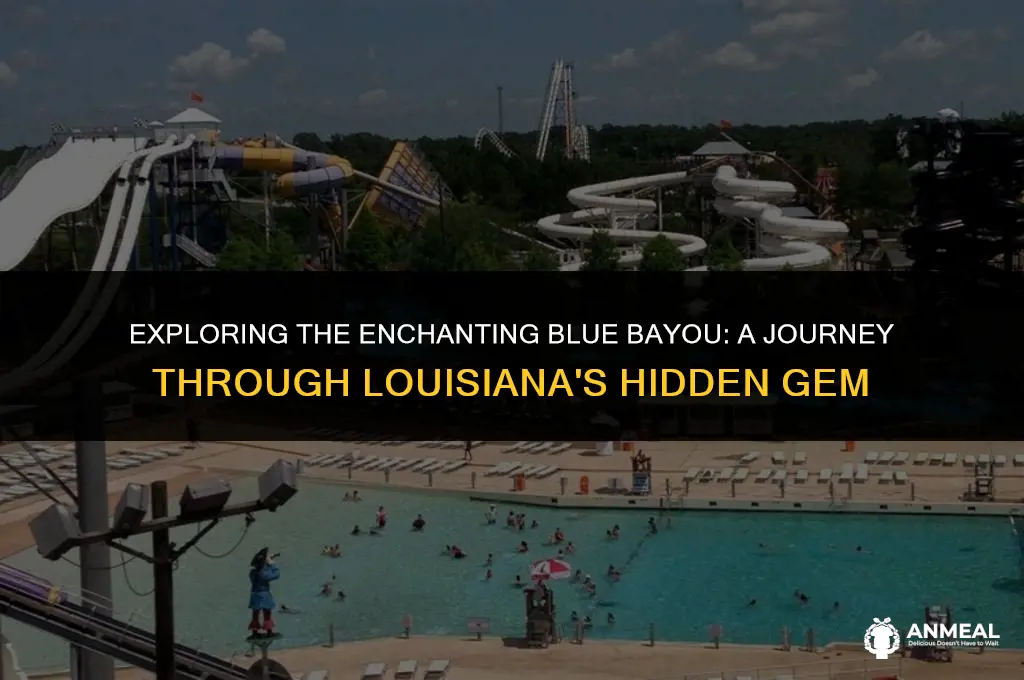 where is blue bayou