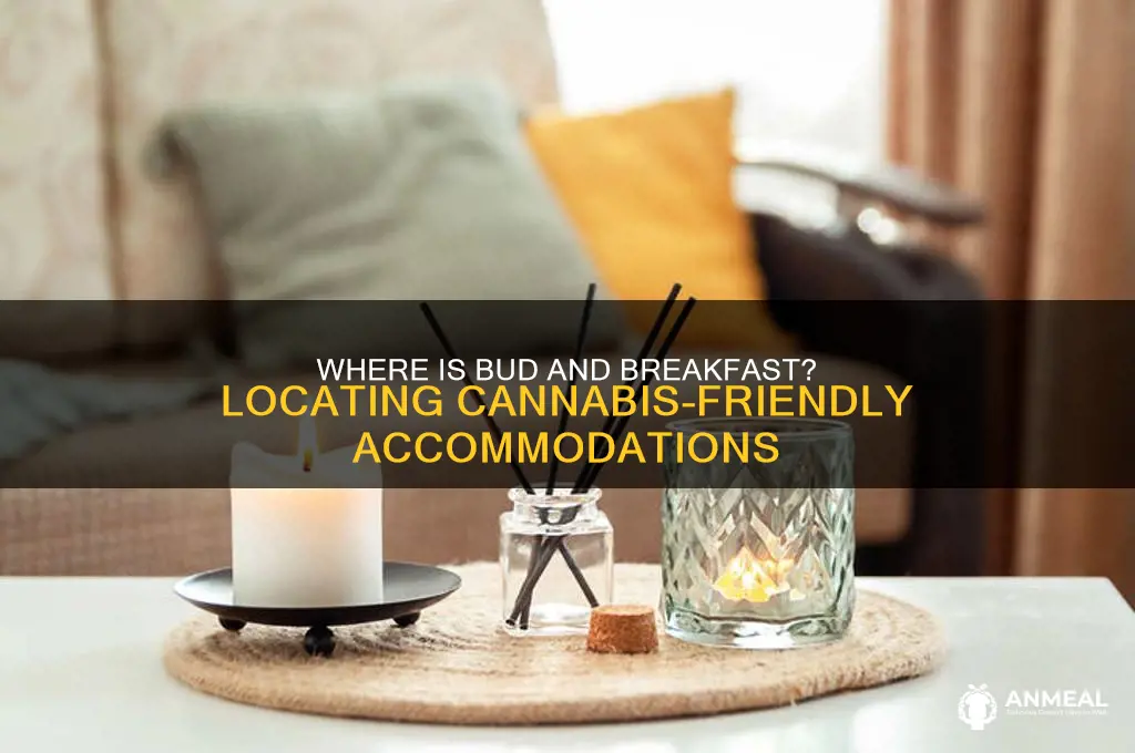 where is bud and breakfast