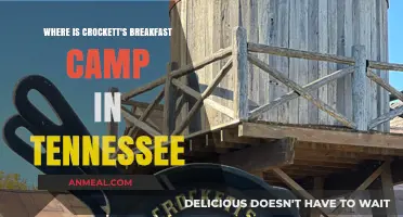 Discover Crockett's Breakfast Camp Location in Tennessee's Great Smoky Mountains