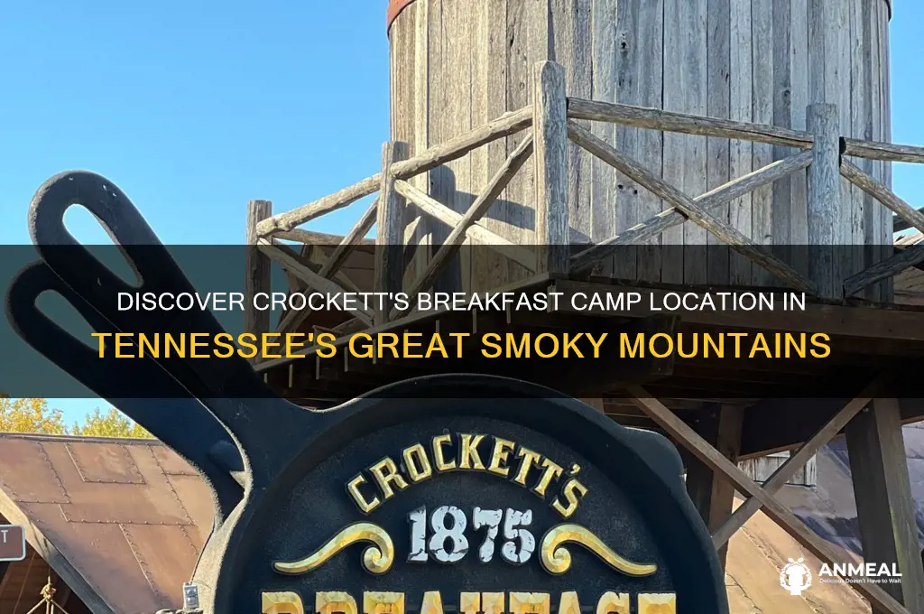 where is crockett