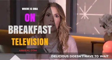 Where is Dina? Breakfast Television Fans Demand Answers