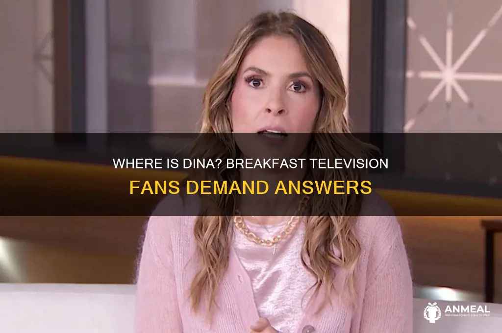 where is dina on breakfast television