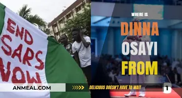 Unveiling Dinna Osayi's Roots: Exploring Her Origin and Background