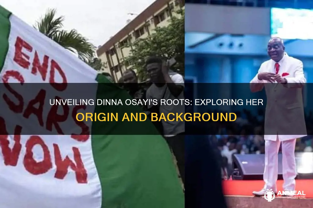 where is dinna osayi from