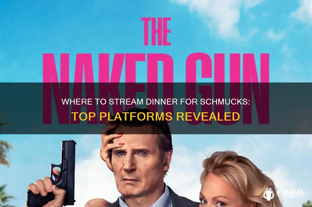 where is dinner for schmucks streaming