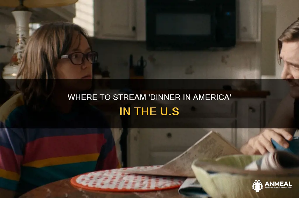 where is dinner in america streaming