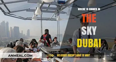 Dinner in the Sky Dubai: Location, Experience, and Breathtaking Views
