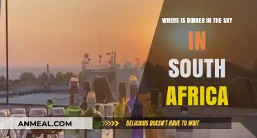 Dinner in the Sky South Africa: Locations and Experience Guide