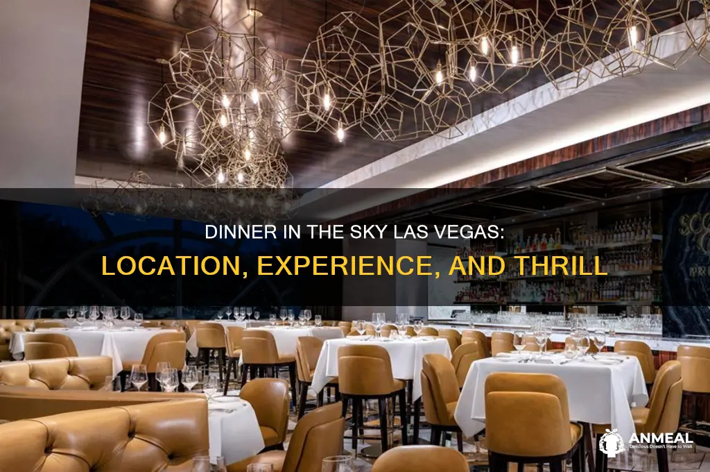 where is dinner in the sky las vegas