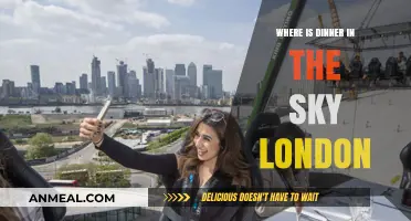 Dinner in the Sky London: Location, Experience, and Sky-High Dining Adventure