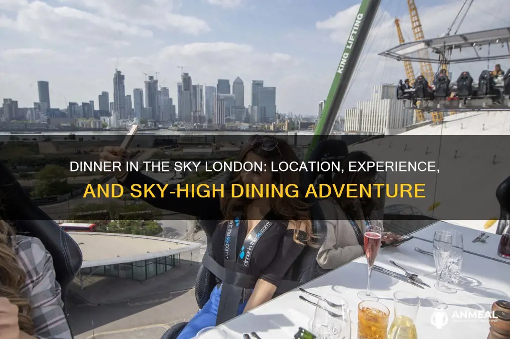 where is dinner in the sky london